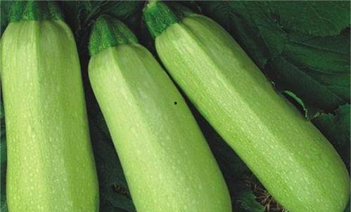 黑吃料吃瓜热门人物,揭秘热门人物背后的恩怨情仇