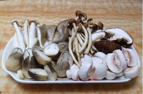 蘑菇视频爆料黑料吃瓜官网,揭秘吃瓜官网背后的真相